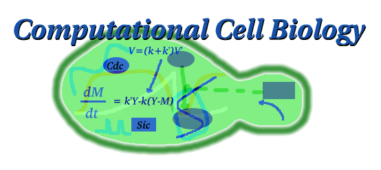 Computational Cell Biology Figure