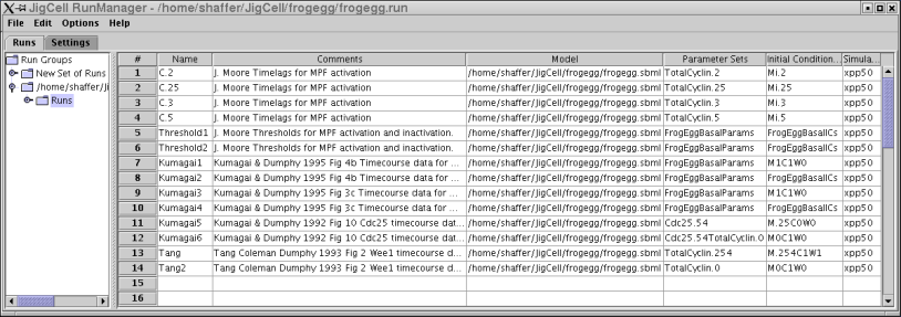 Run Manager with Frogegg model loaded
